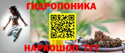 молекула духа Жуковский